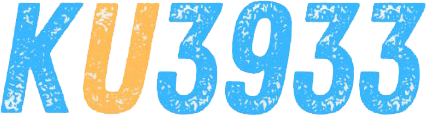 vnku3933net.com Logo